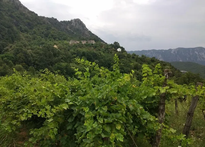 Take A Lake - Zabes, Virpazar